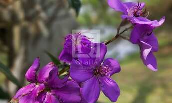 Imagem 7: Terreno à venda Condomínio Terras de São Lucas em Sorocaba