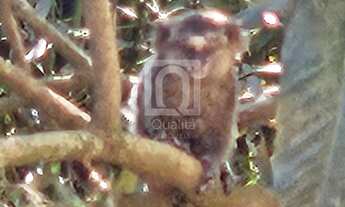 Imagem 4: Terreno à venda Condomínio Terras de São Lucas em Sorocaba