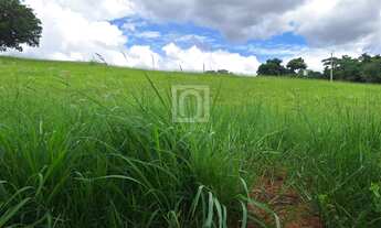 Imagem 5: Terreno com 1.000 m² à venda no Condomínio Fazenda Jequitibá - Sorocaba