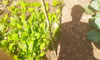 Imagem 5: TERRENO À VENDA SALTO - SP