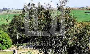 Imagem 6: Chácara com piscina no Jundiacanga Araçoiaba da Serra