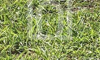 Imagem 4: Terreno no Condomínio Helena Maria Sorocaba