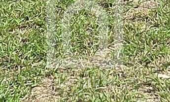 Imagem 7: Terreno no Condomínio Helena Maria Sorocaba