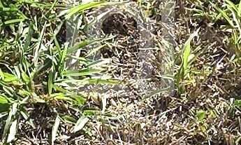 Imagem 5: Terreno no Condomínio Helena Maria Sorocaba