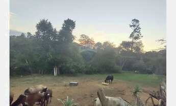 Imagem 5: Terreno à venda em Araçoiaba da Serra-SP, bairro Rhoster Indústria, 623,78 m² de área!