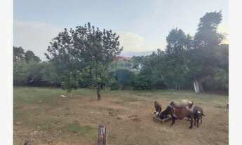 Imagem 4: Terreno à venda em Araçoiaba da Serra-SP, bairro Rhoster Indústria, 623,78 m² de área!