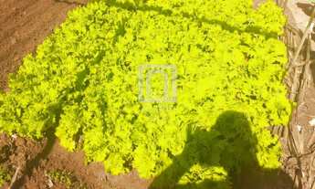 Imagem 3: TERRENO À VENDA SALTO - SP