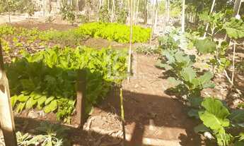 Imagem: TERRENO À VENDA SALTO - SP