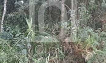 Imagem 6: Terreno à venda com 4 Alqueires para Compensação Ambiental