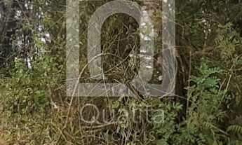 Imagem 4: Terreno à venda com 4 Alqueires para Compensação Ambiental