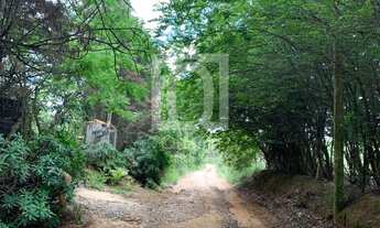 Imagem 6: Sitio à venda Santa Cruz do Mato Dentro - Boituva