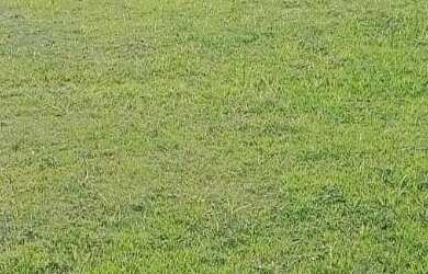 Imagem 3: TERRENO RESIDENCIAL em SANTANA DE PARNAÍBA - SP, TAMBORÉ