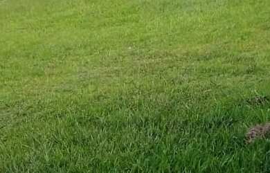 Imagem 6: TERRENO RESIDENCIAL em SANTANA DE PARNAÍBA - SP, TAMBORÉ