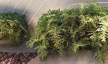 Imagem 5: APARTAMENTO RESIDENCIAL em BARUERI - SP, ALPHAVILLE CENTRO INDUSTRIAL E EMPRESARIAL/ALPHAV