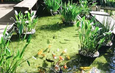 Imagem 3: CASA RESIDENCIAL em SANTANA DE PARNAÍBA - SP, ALPHAVILLE