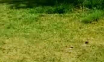 Imagem: TERRENO RESIDENCIAL em BARUERI - SP, ALPHAVILLE