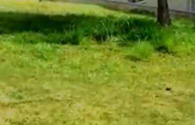 Imagem 6: TERRENO RESIDENCIAL em BARUERI - SP, ALPHAVILLE CONDE I