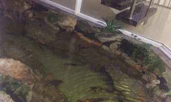 Imagem 5: Casa no Swiss Park, com 3 suítes, 6 vagas de garagem, sala de cinema, piscina aquecida, sa