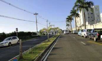 Imagem 3: Apartamento reformado a venda no Loteamento Parque São Martinho