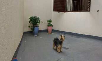 Imagem 7: APARAMENTO A VENDA - VILA PROOST DE SOUZA