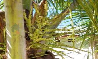 Imagem 2: Vendo linda casa ampla em um terreno de 980 m2 de esquina no bairro Jd. Princesa DOeste e