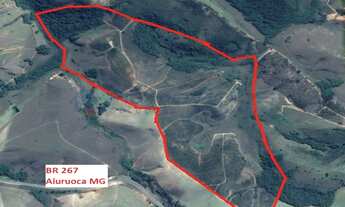 Imagem: FAZENDA DE EUCALIPTOS - AIURUOCA - MG