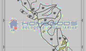 Imagem 3: FAZENDA DE EUCALIPTOS - AIURUOCA - MG