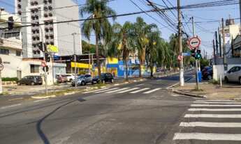 Imagem 7: Excelente Terreno Comercial na Rua Tirandentes na Vila Itapura - 320m² - Oportunidade Únic