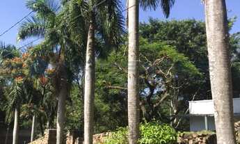 Imagem 7: CASA PARA LOCAÇÃO NO CHACARÁ GRAMADO ARAUCARIAS