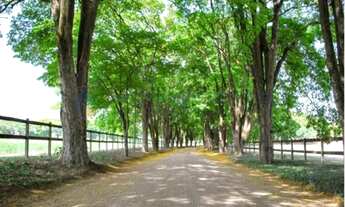 Imagem: Terreno a venda no Reserva Santa Izabel