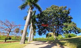 Imagem 2: Excelente Chácara em amplo Terreno no Recanto das Flores!!!