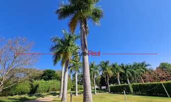 Imagem 6: Excelente Chácara em amplo Terreno no Recanto das Flores!!!