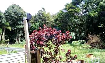 Imagem 4: CHACARA à venda localizada em região tranquila em Guajuvira de Baixo, Região metropolitana