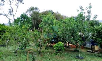 Imagem 6: CHACARA à venda localizada em região tranquila em Guajuvira de Baixo, Região metropolitana