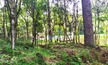 Imagem 7: Lote de Chácara à venda em Campo Largo, com 2.315,00 m², podendo ser financiado direto com