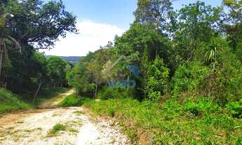 Imagem 4: Lote de Chácara à venda em Campo Largo, com 2.315,00 m², podendo ser financiado direto com