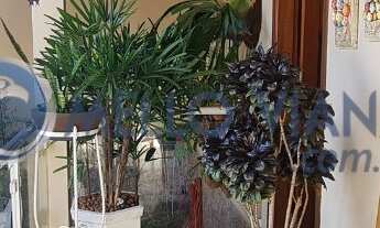 Imagem: Casa nova no Solar dos Lagos