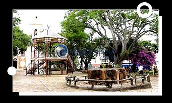 Imagem 3: Imperdível oportunidade! Casa à venda em Baependi com 5 lojas em anexo