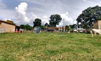 Imagem 3: Terreno com 6.000 m² em frente a Rodovia - Jesuania