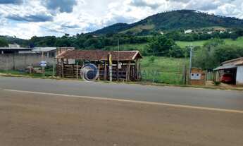 Imagem: Terreno com 6.000 m² em frente a Rodovia
