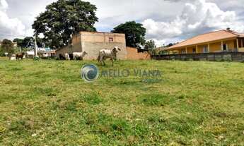 Imagem 4: Terreno com 6.000 m² em frente a Rodovia - Jesuania