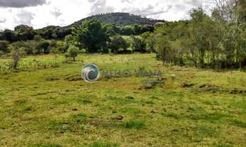 Imagem 2: Terreno com 6.000 m² em frente a Rodovia - Jesuania