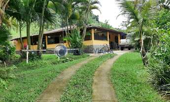 Imagem: Fazenda de 128,31 hectares à venda em Santa