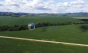 Imagem 7: Fazenda de cana de açúcar com 4.655,00 Hectares de Área