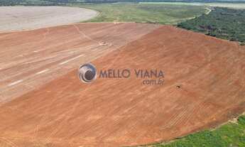 Imagem 4: FAZENDA 2152 HECTARES AS MARGENS DO RIO SÃO FRANCISCO