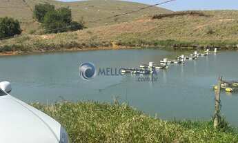 Imagem: Fazenda de 1953 Hec para gado