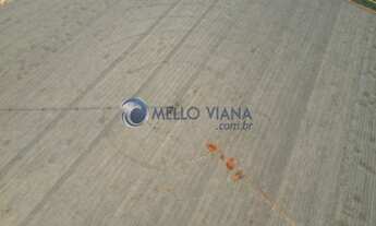 Imagem 5: FAZENDA 2152 HECTARES AS MARGENS DO RIO SÃO FRANCISCO