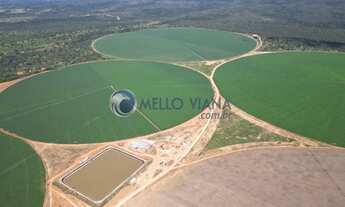 Imagem: FAZENDA 2152 HECTARES AS MARGENS DO RIO