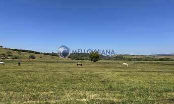 Imagem 6: Fazenda de 1953 Hec para gado