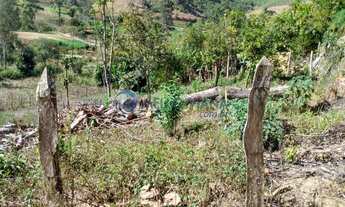 Imagem 2: Terreno plano para venda em área rural, a 8km do centro da cidade de Cristina-MG